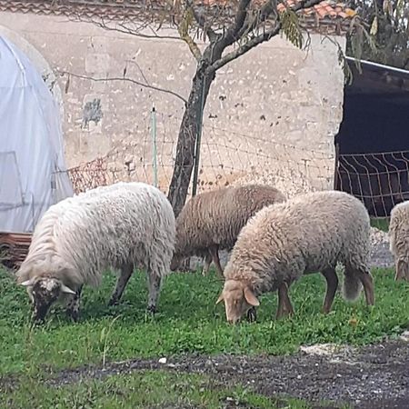 Maison De Campagne A La Ferme Pillac Eksteriør billede