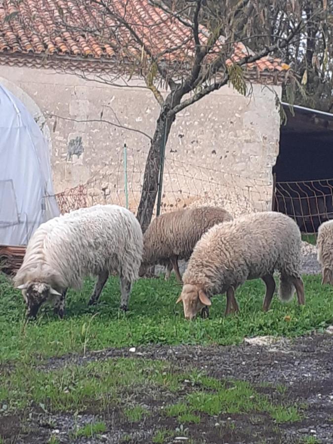 Maison De Campagne A La Ferme Pillac Eksteriør billede